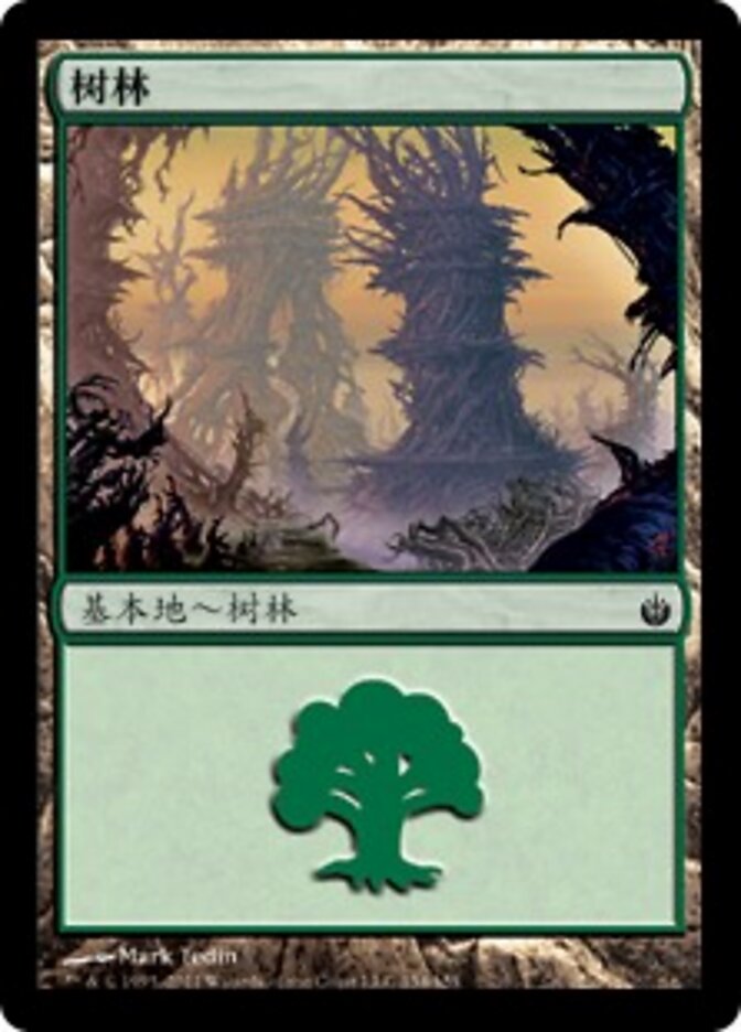树林