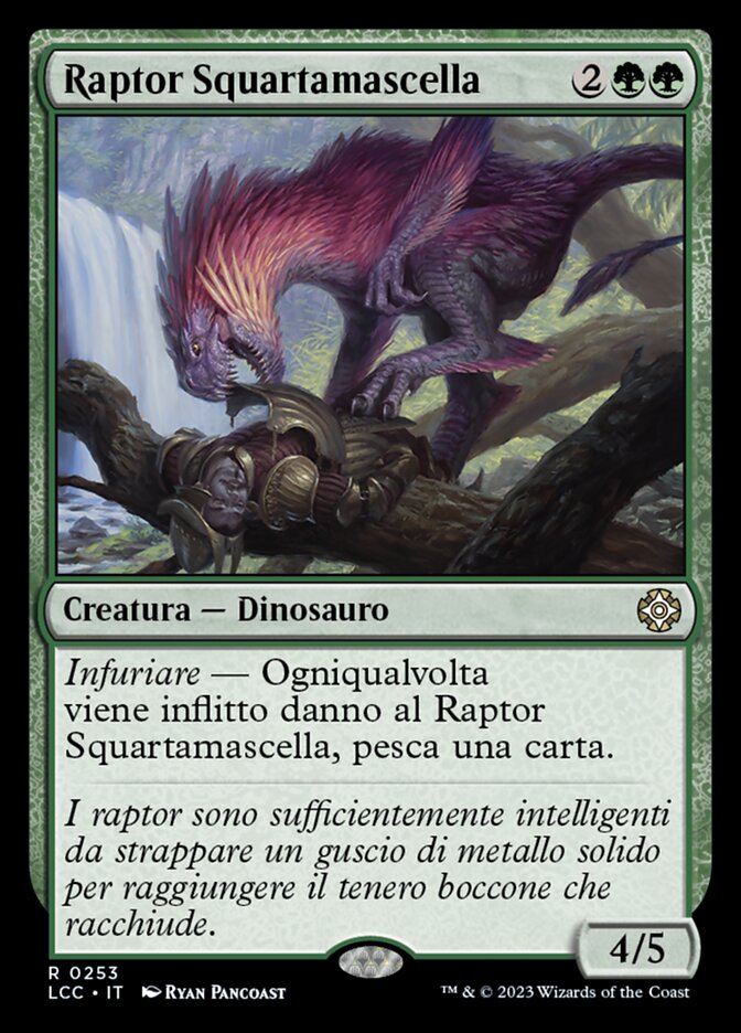 Raptor Squartamascella