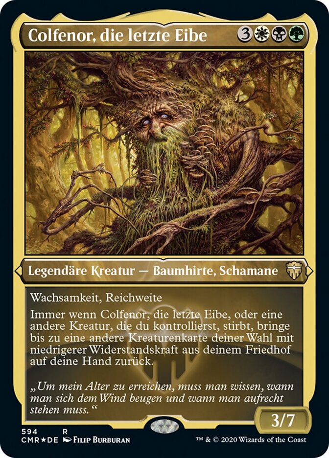 Colfenor, die letzte Eibe