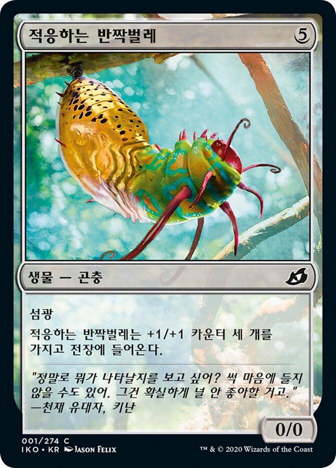 적응하는 반짝벌레