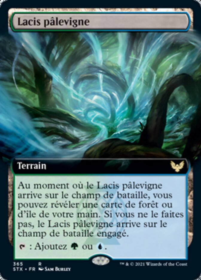 Lacis pâlevigne