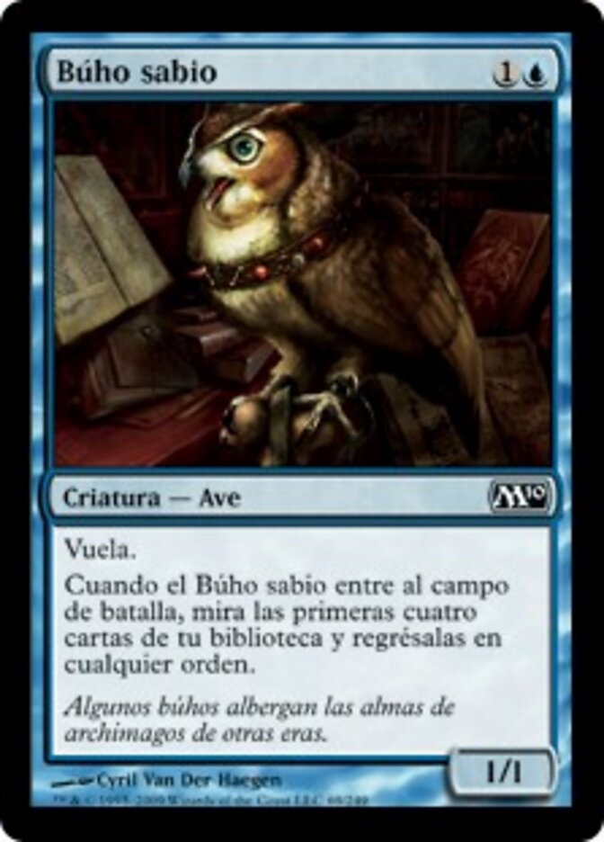 Búho sabio