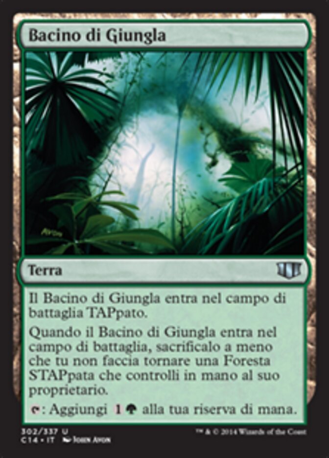 Bacino di Giungla
