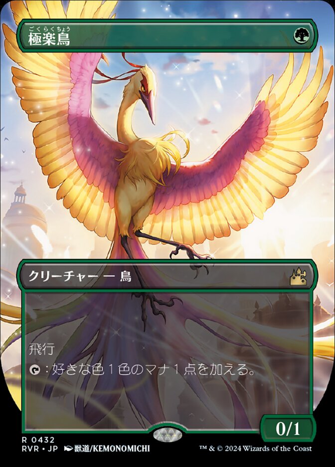 極楽鳥