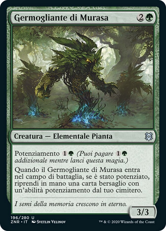 Germogliante di Murasa