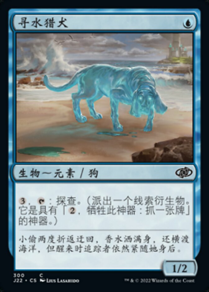 寻水猎犬