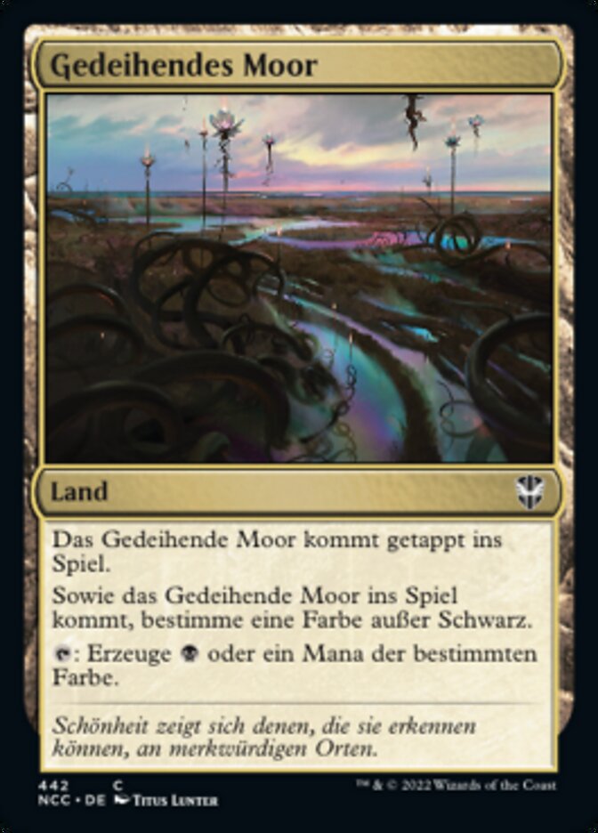 Gedeihendes Moor