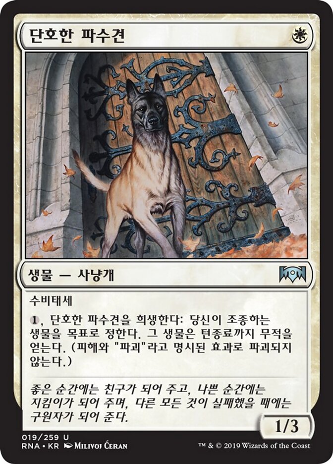단호한 파수견