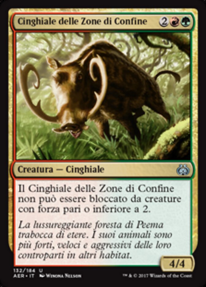 Cinghiale delle Zone di Confine