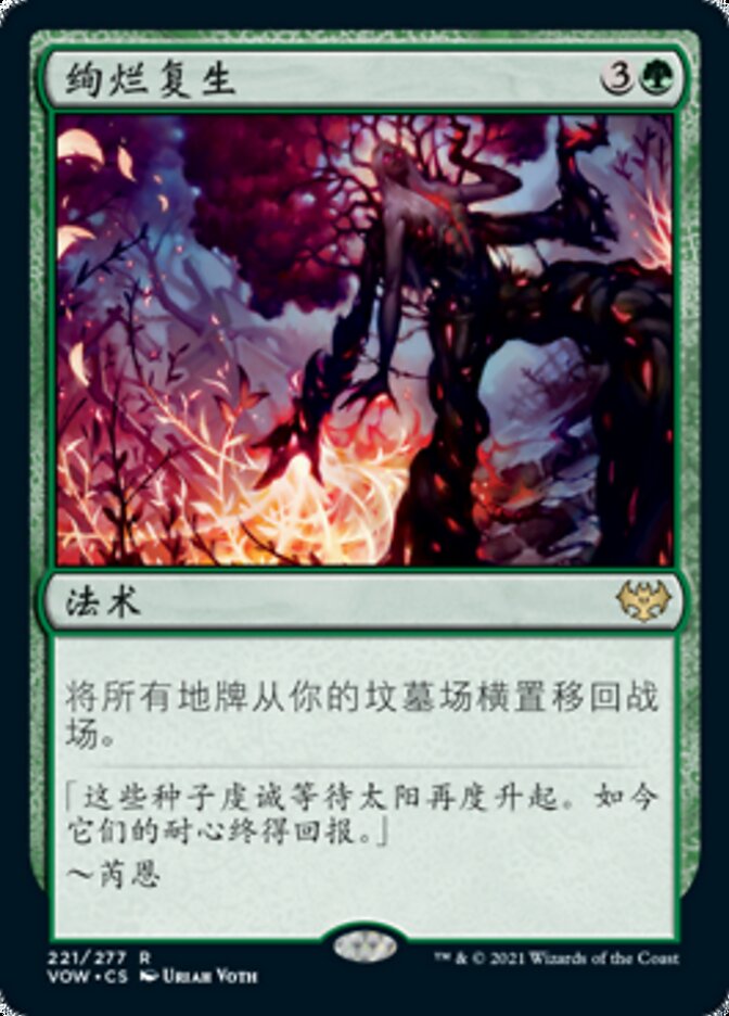 绚烂复生
