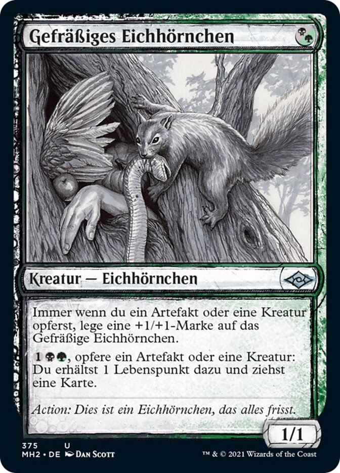 Gefräßiges Eichhörnchen