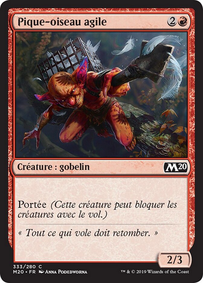 Pique-oiseau agile