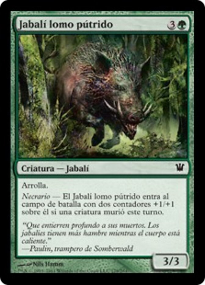 Jabalí lomo pútrido