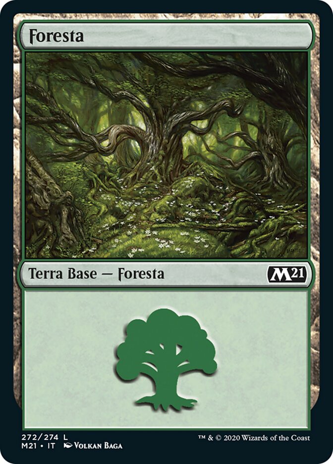 Foresta