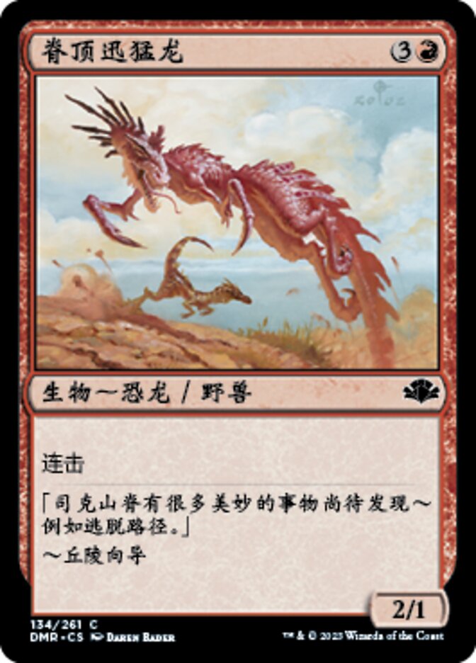 脊顶迅猛龙