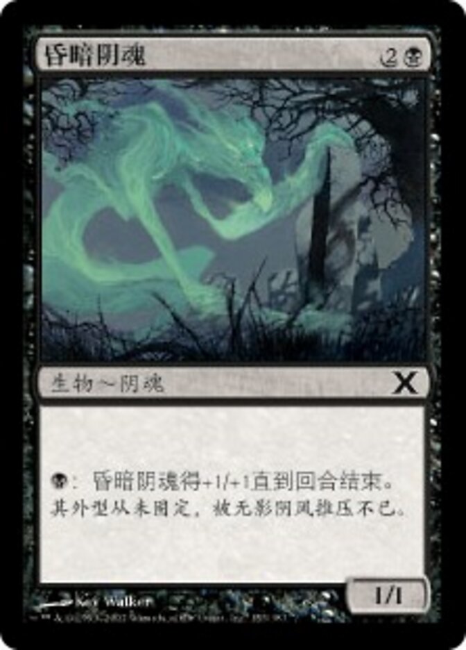 昏暗阴魂