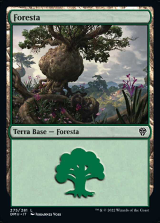 Foresta