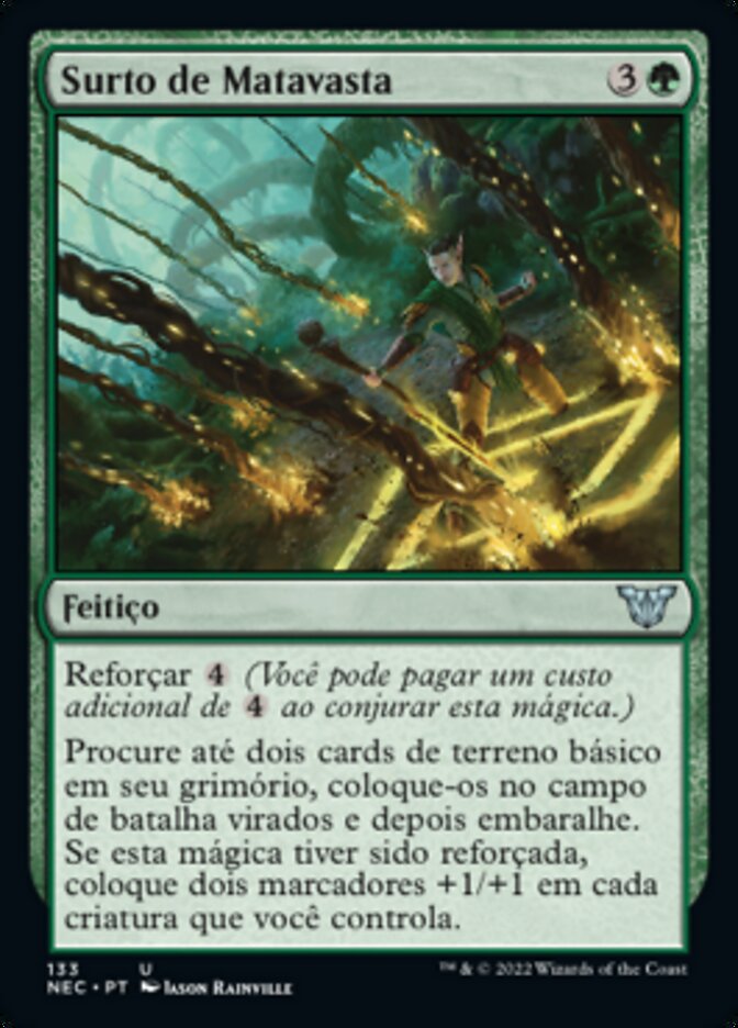 Surto de Matavasta