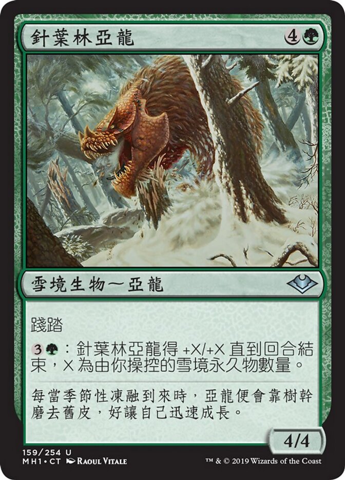 針葉林亞龍