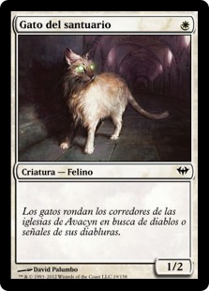 Gato del santuario