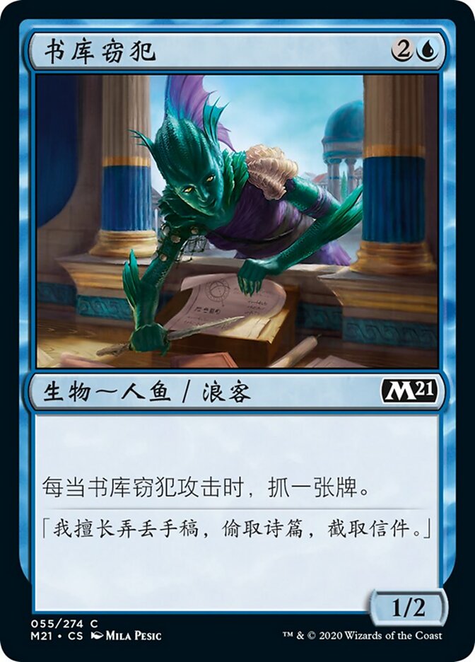 书库窃犯