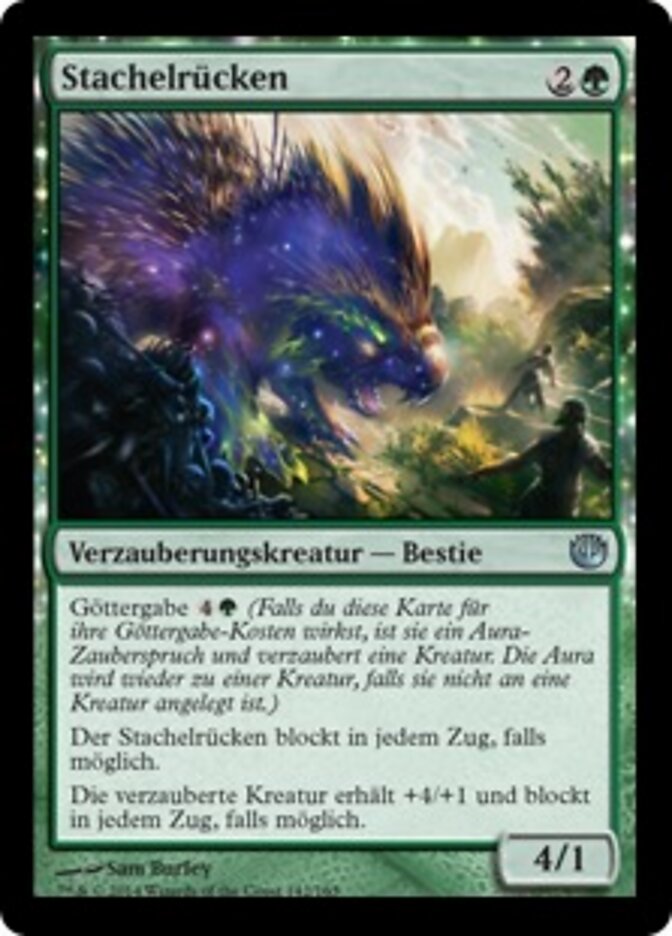 Stachelrücken