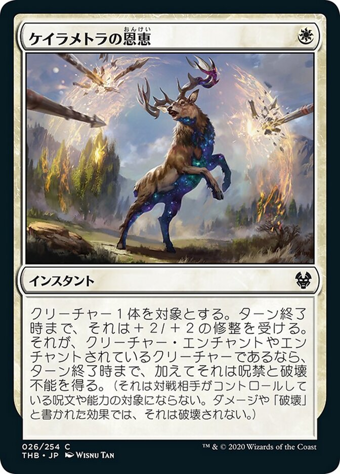 ケイラメトラの恩恵