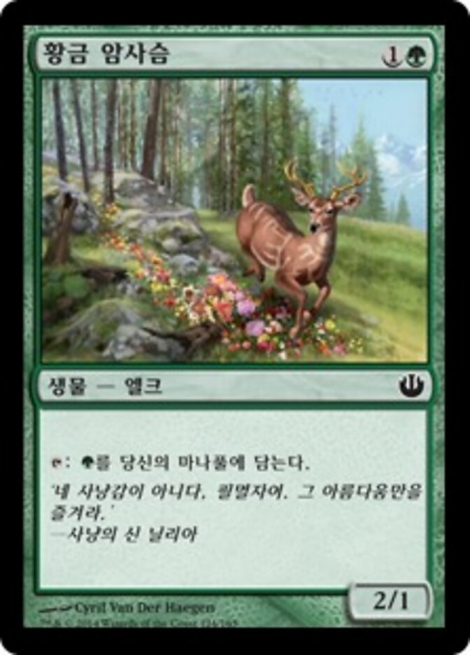 황금 암사슴