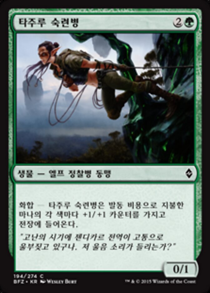 타주루 숙련병