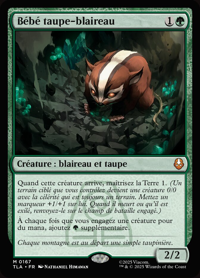 Bébé taupe-blaireau