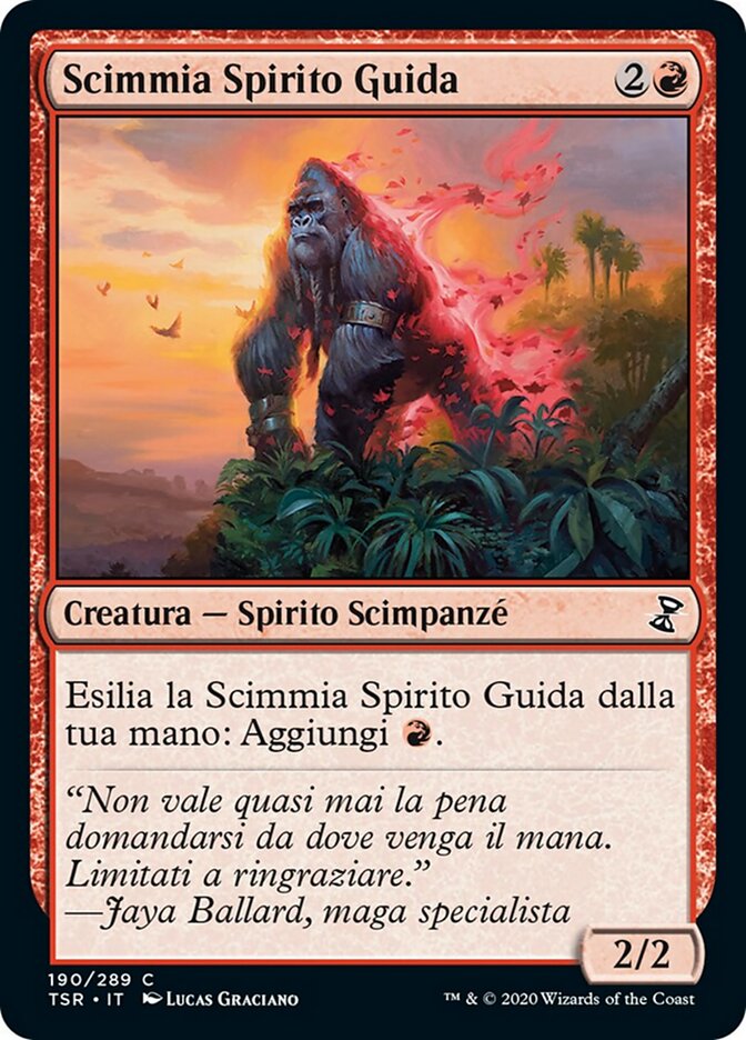Scimmia Spirito Guida