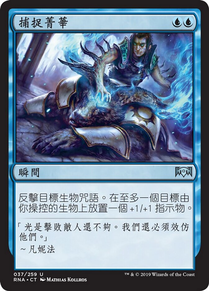 捕捉菁華