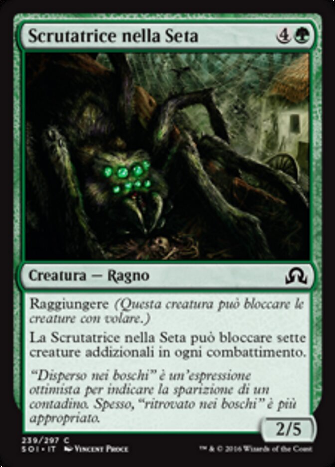Scrutatrice nella Seta