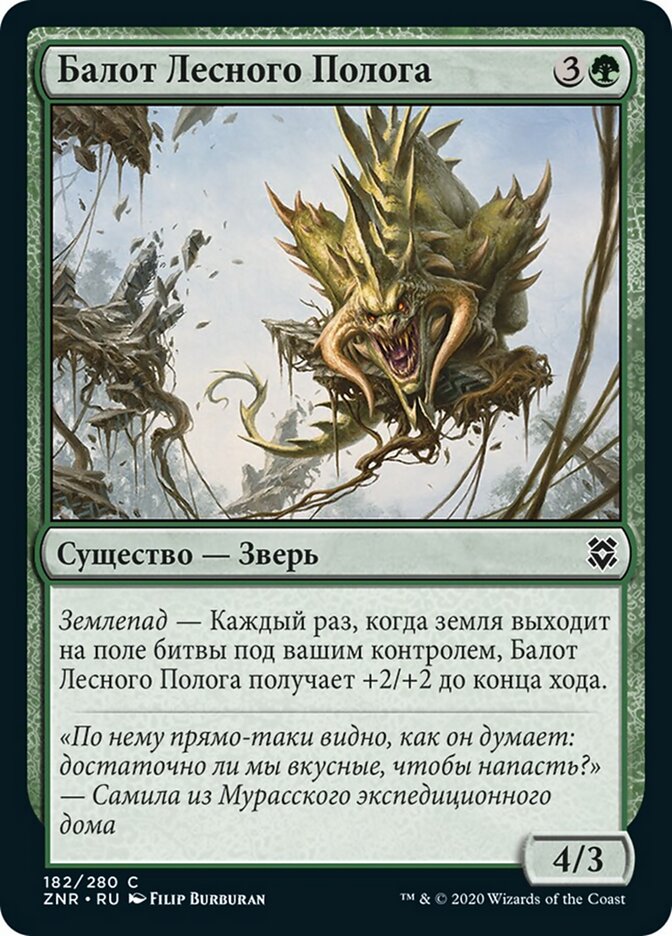 Балот Лесного Полога
