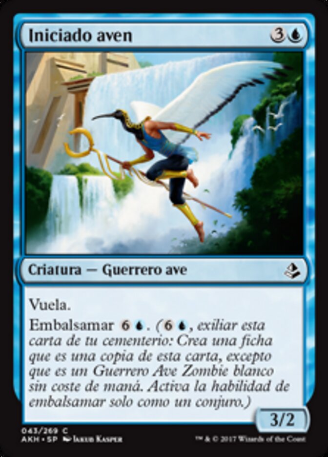 Iniciado aven