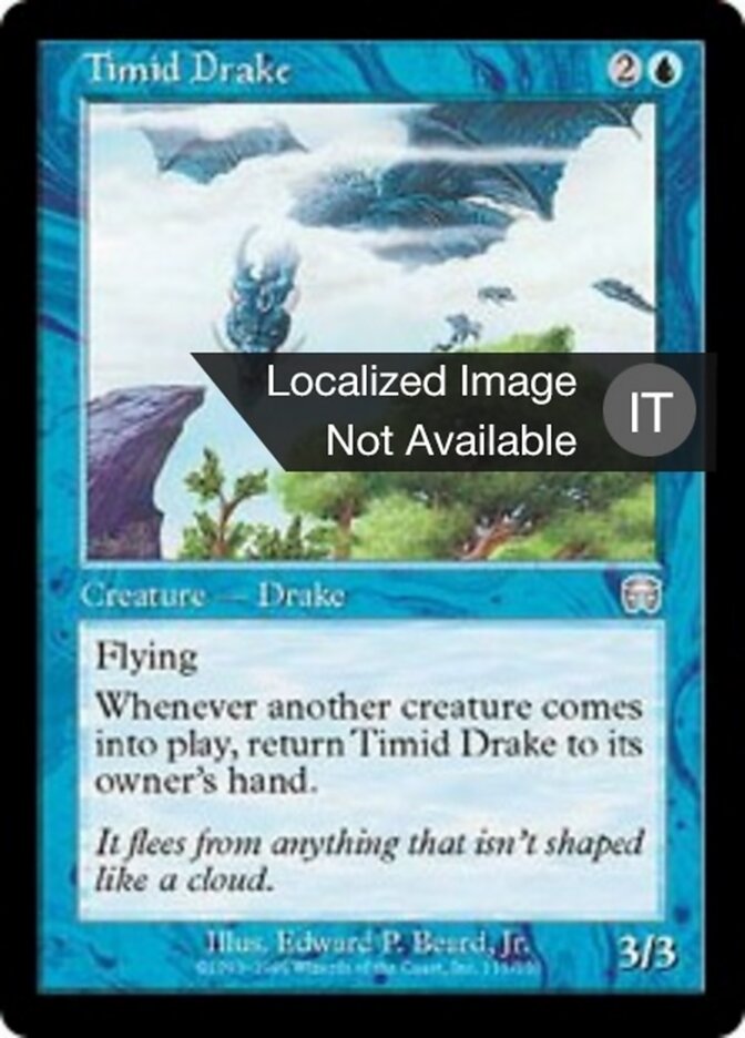 Draghetto Timido