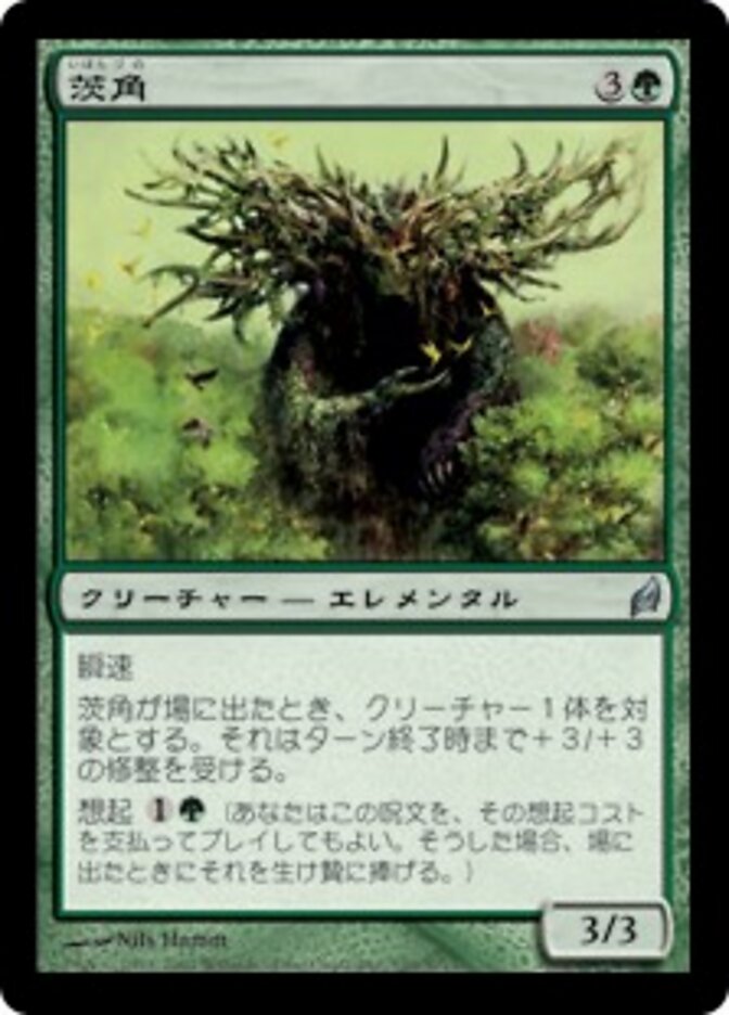 茨角