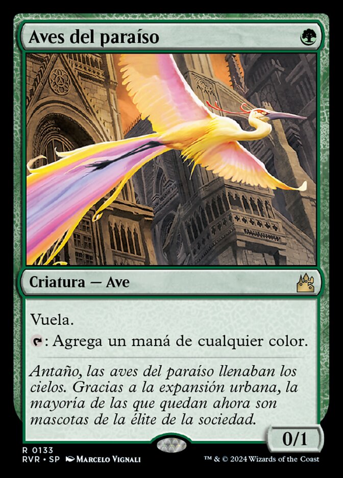 Aves del paraíso