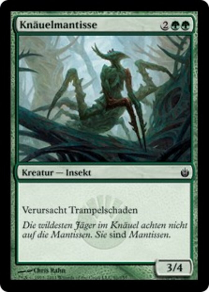 Knäuelmantisse