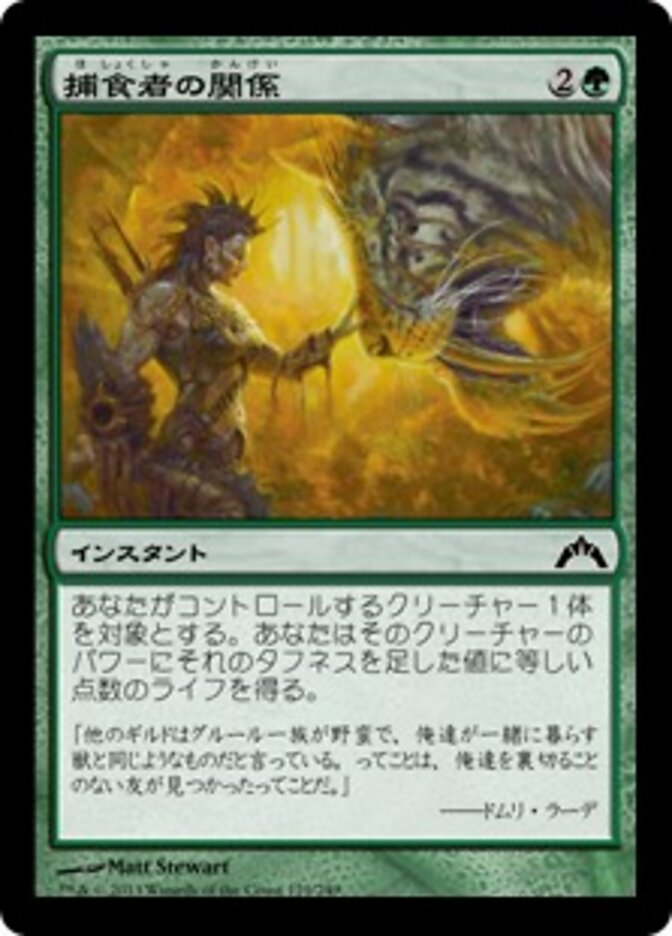 捕食者の関係