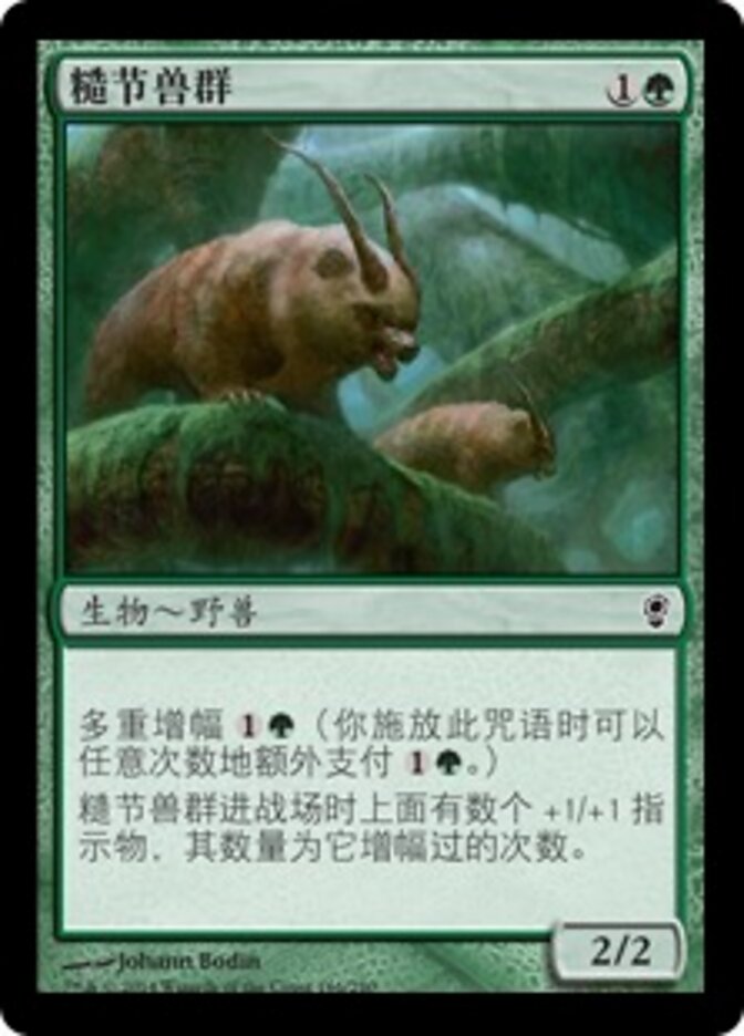 糙节兽群