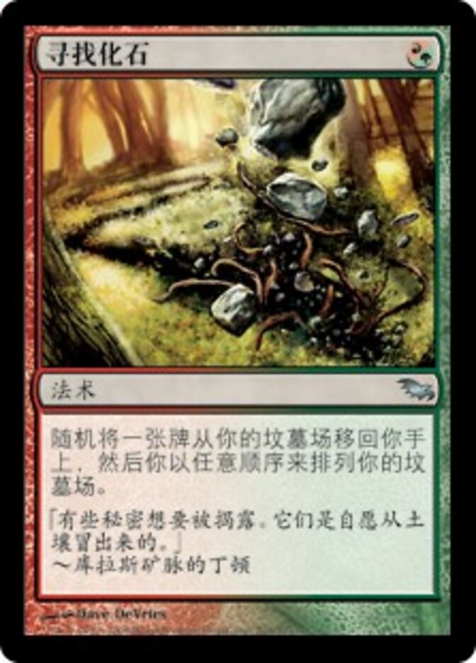 寻找化石