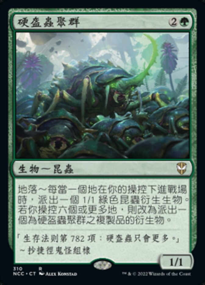 硬盔蟲聚群