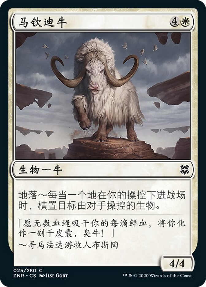 马钦迪牛