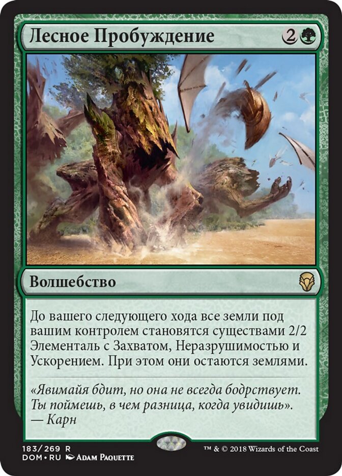 Лесное Пробуждение