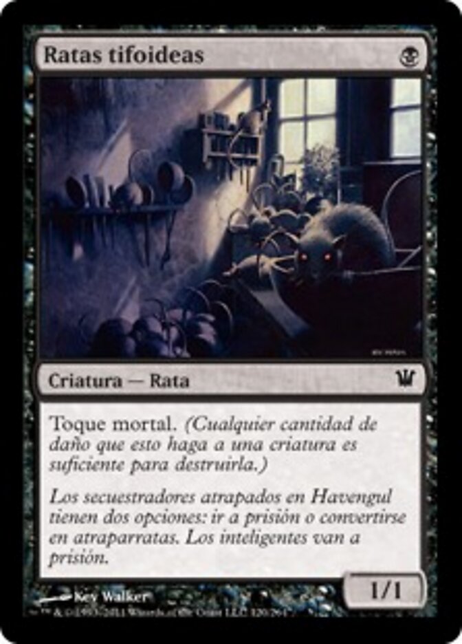 Ratas tifoideas