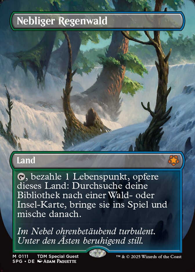 Nebliger Regenwald