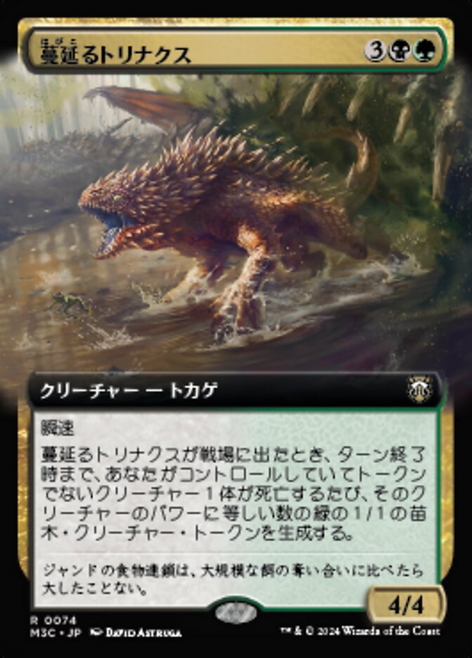 蔓延るトリナクス