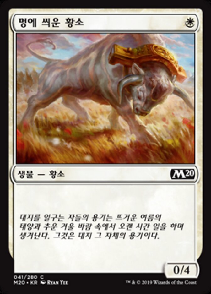 멍에 씌운 황소
