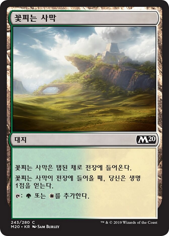 꽃피는 사막